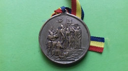 Romania, Roumanie, Rumanien - Medalie Sibiu Hermanstadt 1884 Lansarea Cotidianului Tribuna - Sonstige & Ohne Zuordnung