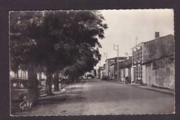 CPSM Charente Maritime 17 Ile De Ré Non Circulé Artaud 194 La Noue - Ile De Ré