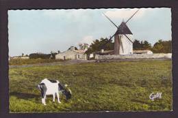 CPSM Charente Maritime 17 Ile De Ré Non Circulé Artaud 136 Moulin à Vent Du Morinand - Ile De Ré