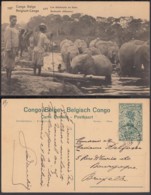 CONGO EP VUE 15C VERT "N°107 API-Les éléphants Au Bain" (DD) DC6983 - Enteros Postales