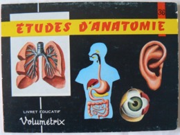 Livret éducatif Volumétrix : N° 36, Etudes D'Anatomie II, Parfait état. - Fiches Didactiques