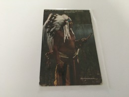 Delcampe - CJ 1000 - Lazy Boy, Old Blackfeet Indian Warrior And Hunter - Indianer