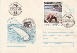 NORTH POLE, ARCTIC WILDLIFE, BELUGA WHALE, COVER STATIONERY, ENTIER POSTAL, 1994, ROMANIA - Arctische Fauna