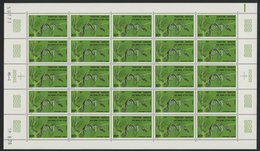 AFARS Et ISSAS COTE 275 € N° 437 MNH ** FEUILLE DE 25 Ex. SERPENTS SNAKE PSALMMOPHIS ELEGANS. TB/VG - Schlangen