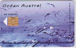 #13 - TAAF-01 - OCÉAN AUSTRAL - BIRDS - 3.000EX. - TAAF - French Southern And Antarctic Lands