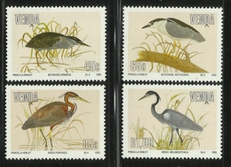 VENDA  1993  BIRDS SET  MNH - Unclassified