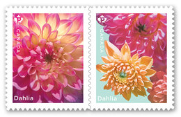 2020 Canada Flower Dahlia P Rate Pair From Booklet MNH - Sellos (solo)