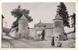 52 - DOULAINCOURT / ENTREE DU CHATEAU DE MONTROL - Doulaincourt