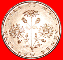 · FLOWER: ISLE OF MAN ★ 1/2 NEW PENNY 1971 MINT LUSTER! LOW START ★ NO RESERVE! - Isle Of Man