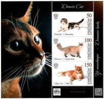 Kyrgyzstan.2019 Domestic Cats.S/S :50,100,150 - Kirghizistan