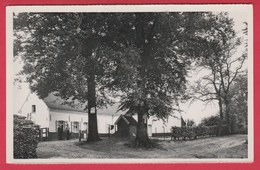 Mont-de-L'Enclus - La Ferme De Jésus / Kluisberg - Kristus Hoeve ( Voir Verso ) - Kluisbergen