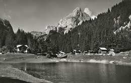 Real Photo Le Lac Tanay S. Vouvry Les Jumelles Cachet Hotel  Du Grammont Steiner - Vouvry