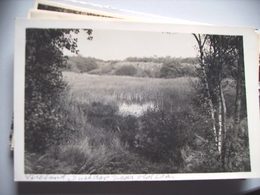 Nederland Holland Pays Bas Vlieland Eendenkooi Fotokaart Photo Card - Vlieland