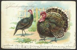 Delcampe - THANKSGIVING DAY Turkey Embossed Postcard Signed Wealthy 1906 Philadelphia-Denver 00850 - Thanksgiving