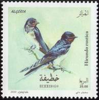 ALGERIE ALGERIA 2020 - HIRONDELLE HIRONDELLES SWALLOW SWALLOWS - FAUNA BIRDS OISEAUX - MNH ** - Rondini