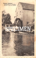 Watermolen In Werking - Neerpelt - Neerpelt