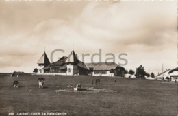 Switzerland - Saignelegier - Le Halle Cantine - Saignelégier