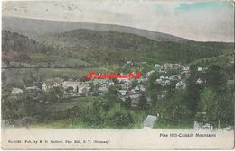 Pine Hill - Catskill Mountains - Catskills