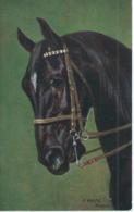 Cheval - Horse - Paard - Pferd - O. Merté - A.S.M. Serie 589 - Chevaux