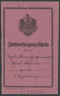 LOTS 1919/20, Zivilversorgungsscheinheft Des Versorgungsamtes Der Marinestation Der Ostsee Kiel, Mit Nachweis Für 12 Jah - Other & Unclassified