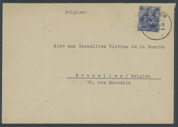 AMERIK. U. BRITISCHE ZONE 48II BRIEF, 1948, 50 Pf. Netzaufdruck Auf Brief An Aide Aux Israelites Victime De La Guerre (H - Sonstige & Ohne Zuordnung