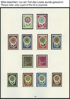 EUROPA UNION **, Postfrische Sammlung Gemeinschaftsausgaben Von 1958-68 Im SAFE Falzlosalbum (Text Ab 1956), Bis Auf Wen - Sammlungen