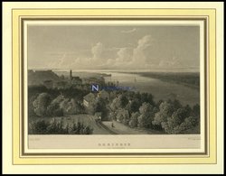 RHEINECK/KANTON ST. GALLEN, Gesamtansicht, Stahlstich Von Lange/Lang Um 1840 - Litografía