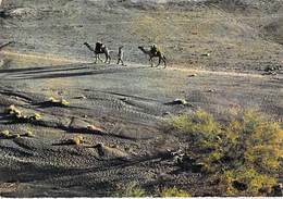 Afrique DJIBOUTI -Côte Française Des Somalis  Départ De Caravane (Editions: Doxiadis Frères Djibouti 19) * PRIX FIXE. - Djibouti