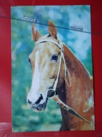 KOV 505-9 - HORSE, CHEVAL, - Horses