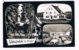 Delcampe - D-10733   KREUZNICK : Hotel-Restaurant Waldblick - Mayen