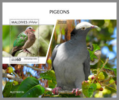 MALDIVES 2019 MNH Pigeons Doves Tauben S/S - OFFICIAL ISSUE - DH2007 - Pigeons & Columbiformes