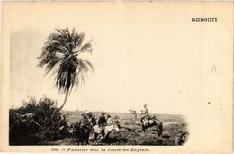 CPA AK Djibouti- Palmier Sur La Route De Zeylah SOMALIA (831220) - Somalia