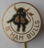 ICE HOCKEY - Birmingham Bulls   PINS BADGES P3/7 - Wintersport