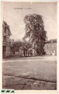 Delcampe - 77 NEMOURS - Le Sully - Nemours