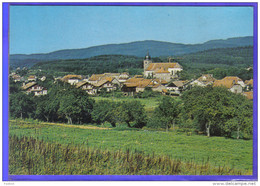 Carte Postale 88. Provenchères-sur-Fave  Trés Beau Plan - Provencheres Sur Fave