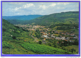 Carte Postale 88. Fresse-sur-Moselle  Et La Hardye  Trés Beau Plan - Fresse Sur Moselle