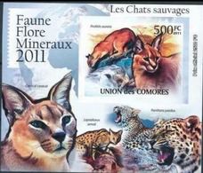 Comores 2011 Wild Cat Chat BF Luxe 500F Imperf MNH - Félins