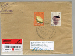 ARGENTINA 2009 MAPUCHE CULTURE YOCAVIL - Lettres & Documents