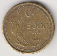 @Y@  Turkije / Turkey      5000  Lira   1996     (4830) - Turkey