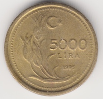 @Y@  Turkije / Turkey      5000  Lira   1995   Unc  (4833) - Turkey