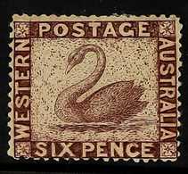 WESTERN AUSTRALIA 1861 6d Violet- Brown Engraved ONEGLIA (Panelli) FORGERY Perf 14 On Paper With Faked Swan Watermark, M - Other & Unclassified