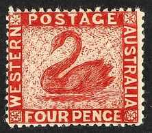 WESTERN AUSTRALIA 1861 4d Vermilion Engraved ONEGLIA (Panelli) FORGERY Perf 14 On Paper With Faked Swan Watermark, Mint. - Other & Unclassified