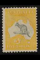 1913 5s Grey And Yellow, Wmk Broad Crown, Kangaroo, SG 13, Fine And Fresh Mint. For More Images, Please Visit Http://www - Autres & Non Classés