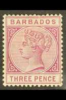 1882-86 3d Deep Purple, SG 95, Mint, Few Nibbled Perfs. For More Images, Please Visit Http://www.sandafayre.com/itemdeta - Barbados (...-1966)