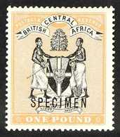 1895 £1 Black And Yellow- Orange Opt'd "SPECIMEN", SG 29s, Very Fine Mint. For More Images, Please Visit Http://www.sand - Nyasaland (1907-1953)