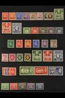 1942-50 VERY FINE MINT COLLECTION Presented On Stock Pages That Includes The 1943-47 MEF Set Complete, 1950 & 1951 Eritr - Italiaans Oost-Afrika