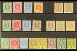 1902-1909 KEVII MINT SELECTION Presented On A Stock Card That Includes 1902-03 Set (ex 6d), 1905 Set To 6d, 1907 Set (ex - Cayman (Isole)