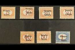 VENEZIA GIULIA POSTAGE DUES 1918 Overprint Set Complete, Sass S4, Very Fine Never Hinged Mint. Cat €2500 (£1900) Rare Se - Non Classés