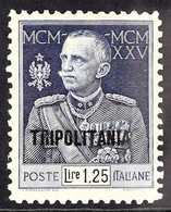 TRIPOLITANIA 1925 - 6 1L25 Blue Royal Jubilee, Variety "perf 11", Sass 25, Very Fine Mint. Well Centered For This Scarce - Autres & Non Classés