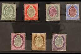 1903-04 KEVII (wmk Crown CA) Complete Set, SG 38/44, Fine Mint. (7 Stamps) For More Images, Please Visit Http://www.sand - Malte (...-1964)